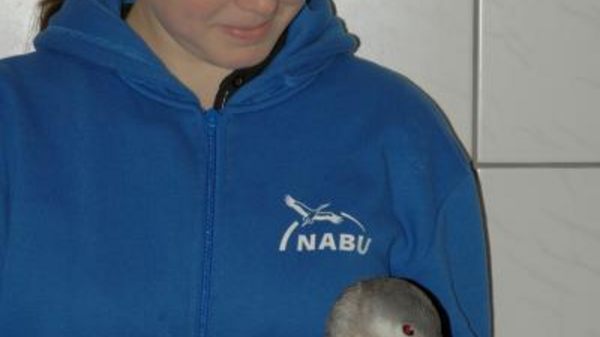 39 NABU-Vogelschutzzentrum Mössingen